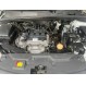 AVEO