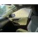RAV-4 XLE