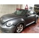 BEETLE