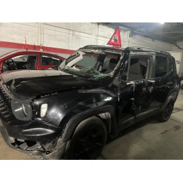 RENEGADE 