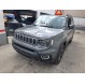 RENEGADE LIMITED