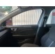 AVEO