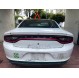 CHARGER POLICE