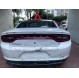 CHARGER POLICE