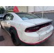 CHARGER POLICE 